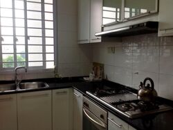 Scenic Heights (D12), Apartment #565926511